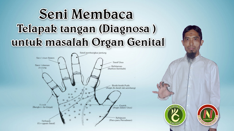 Seni Membaca Telapak tangan (Diagnosa ) untuk masalah Organ Genital